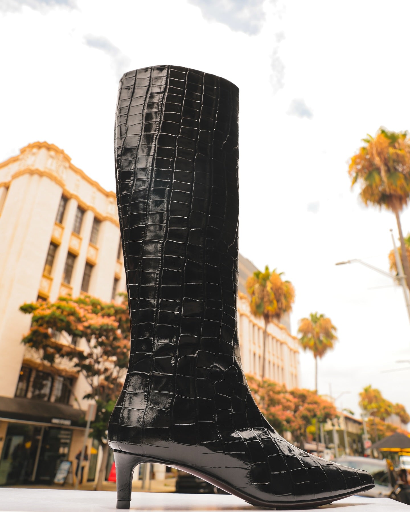 Mock Croc Kitten Heel Boot