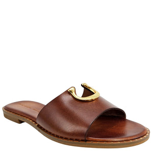 Brown sandal with gold buckle on a white background