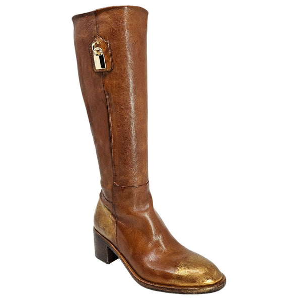 Brown knee-high boot with gold accents on a white background
