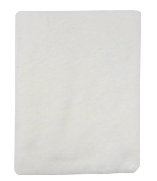 Botto Giuseppe Small White Small Cashmere Plain Scarf