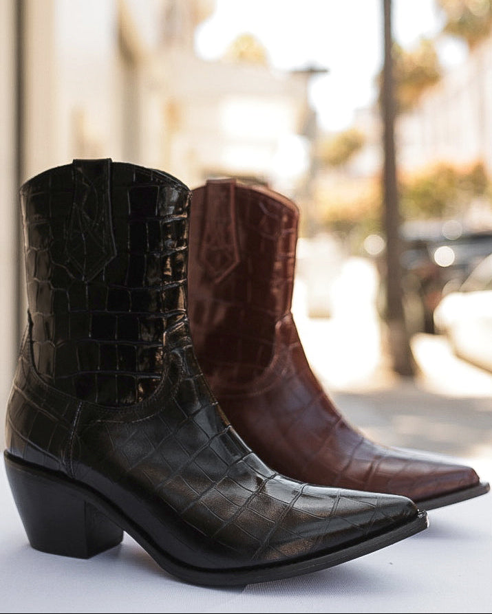 Pair of black and brown crocodile-patterned boots on a blurred outdoor background