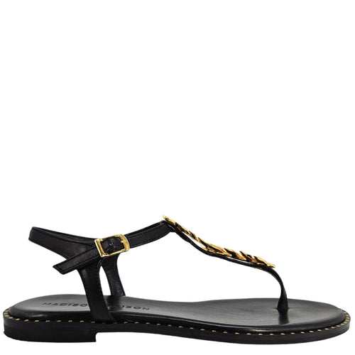 Black sandal with gold accents on a white background
