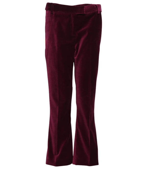 Giuliette Brown Violet Chino Pants